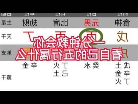 五行 測試